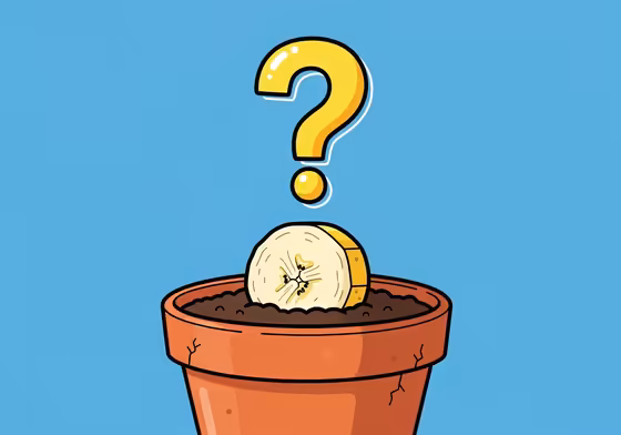 A cartoonish image of a single banana slice planted in a small pot, with a large question mark floating above it, debunking the myth of growing a plant from it.